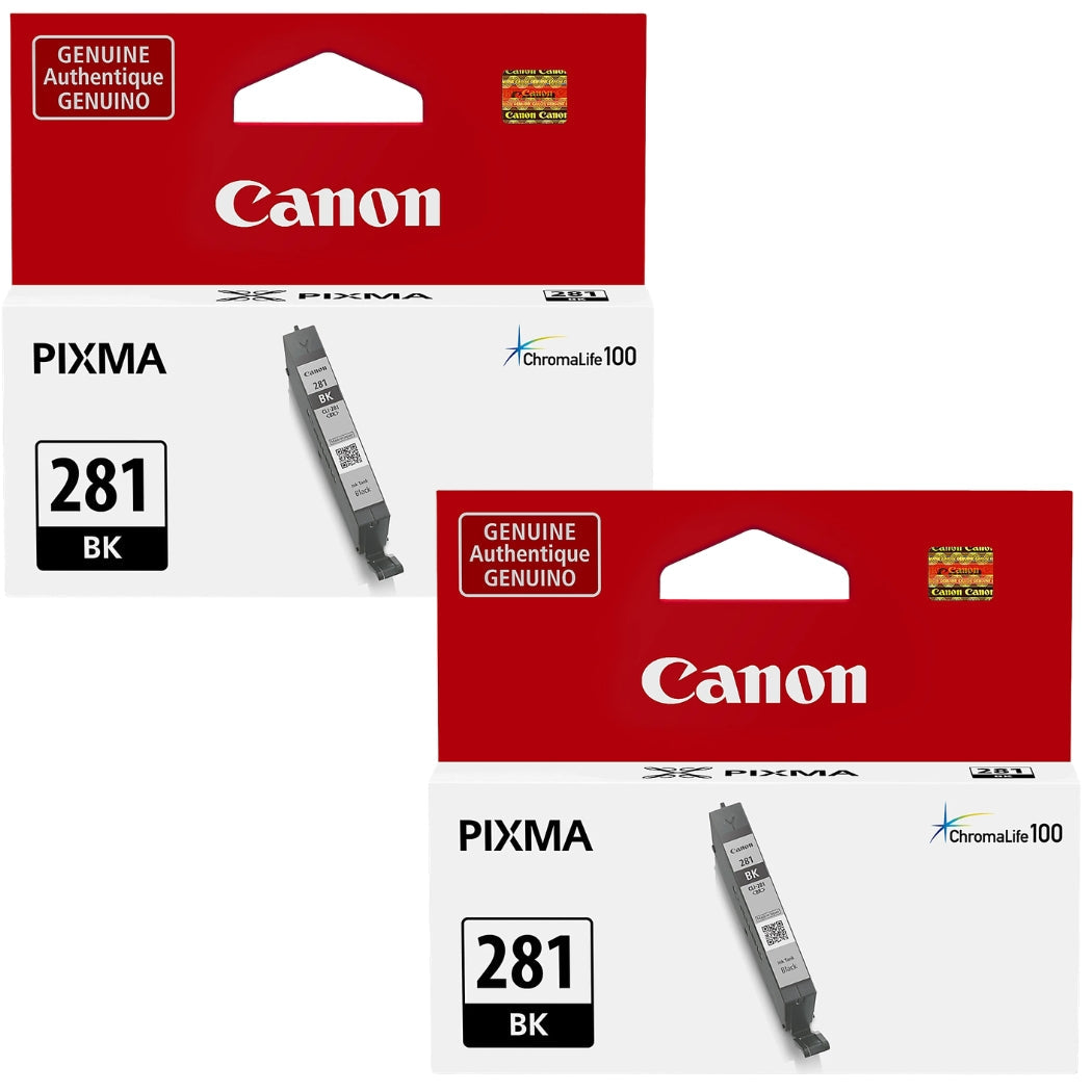 Original Canon CLI-281 (2-Pack) Standard Yield Black Ink Cartridge, 2091C001