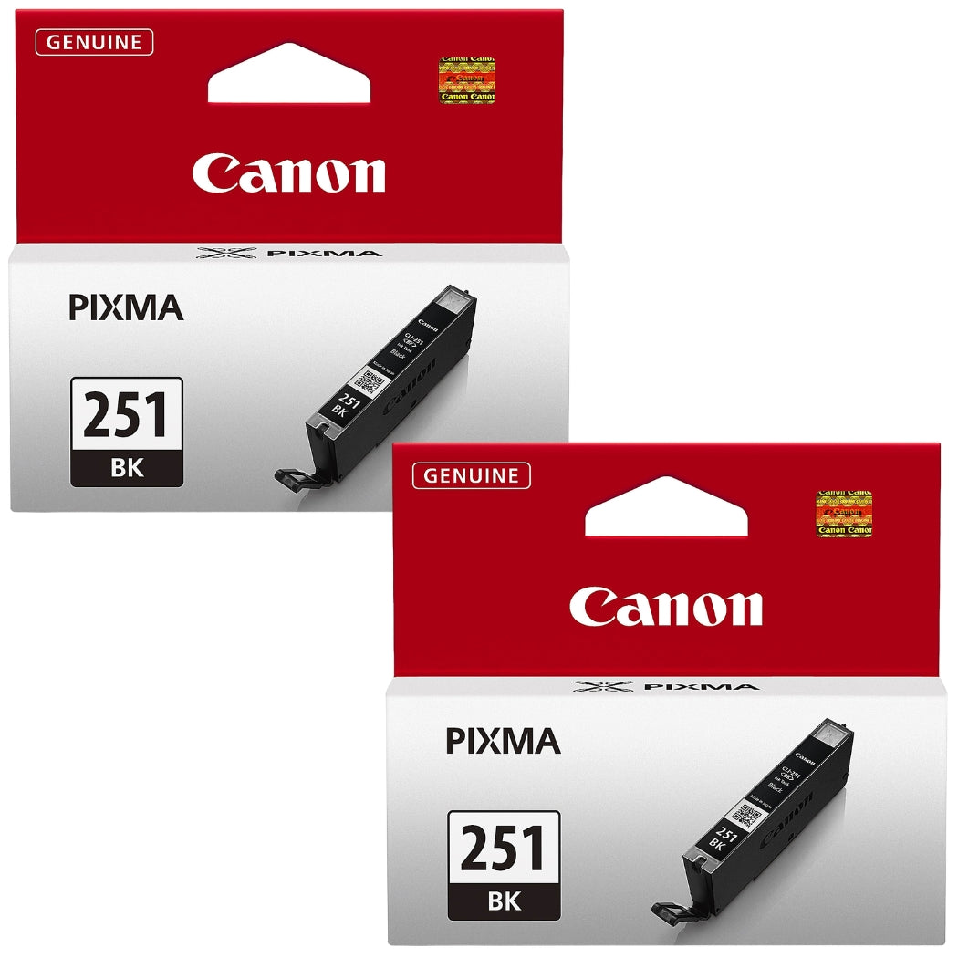 Original Canon CLI-251  Standard Yield Black (2-Pack) Ink Cartridge, 6512B005
